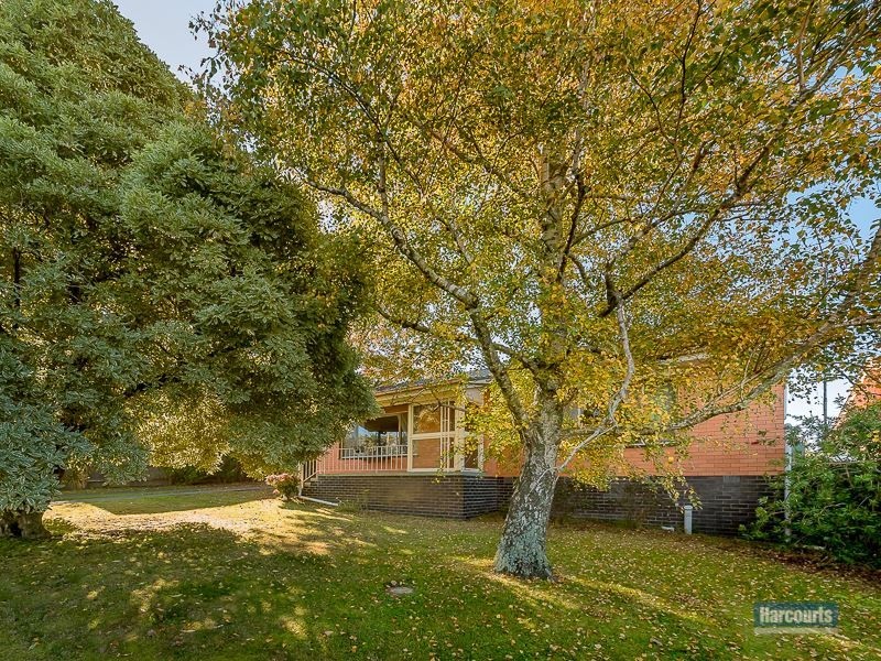 232 Main Neerim Road, Neerim South VIC 3831