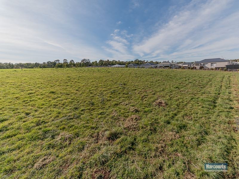 51 Colquhoun Boulevard, Warragul VIC 3820