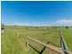 575 Bloomfield Road, Lillico VIC 3820