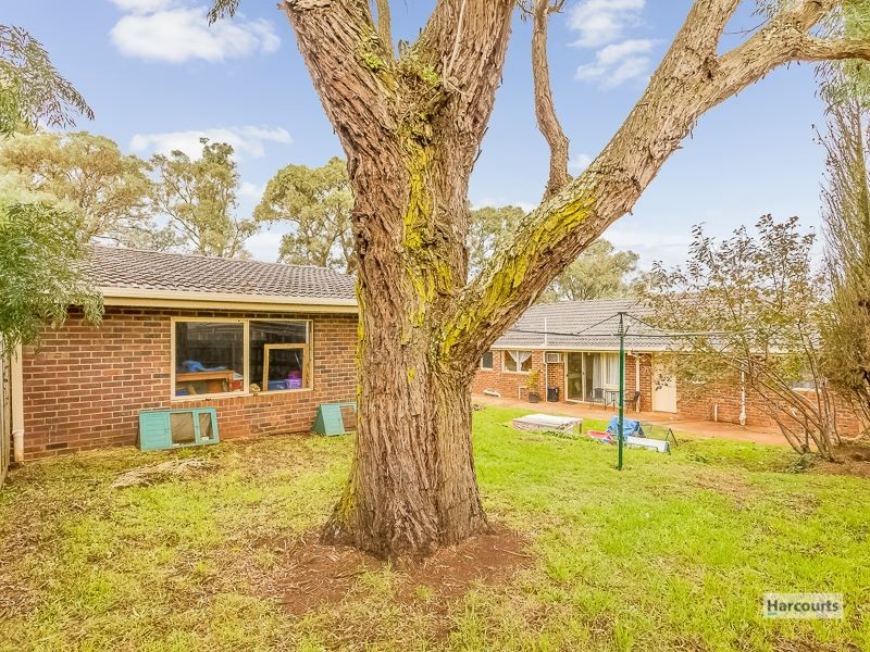 10 Pearson Road, Drouin VIC 3818