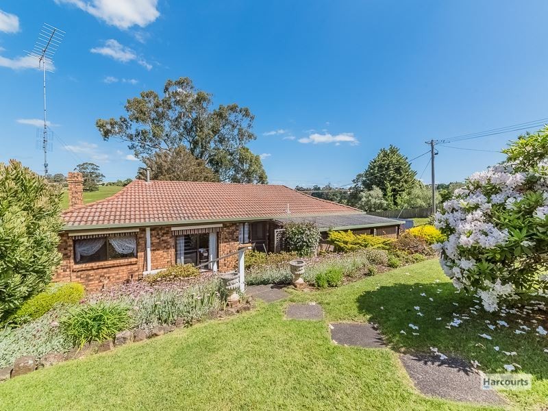 49 Buln Buln Road, Drouin VIC 3818