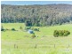 217 Fraser Spur Road, Neerim East VIC 3831
