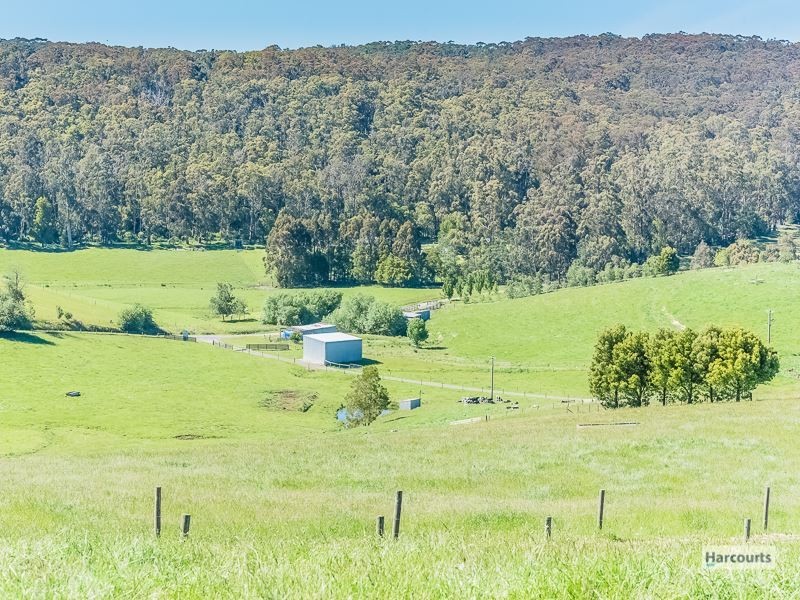 217 Fraser Spur Road, Neerim East VIC 3831