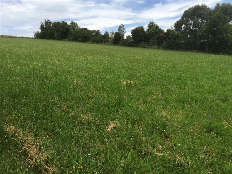 5 Green Valley Drive, Drouin VIC 3818