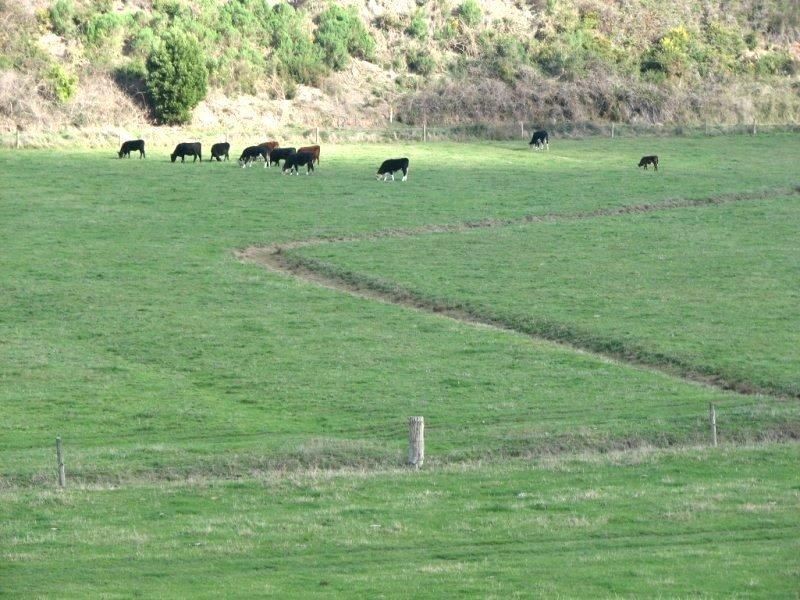 915 Princes Highway, Darnum VIC 3822