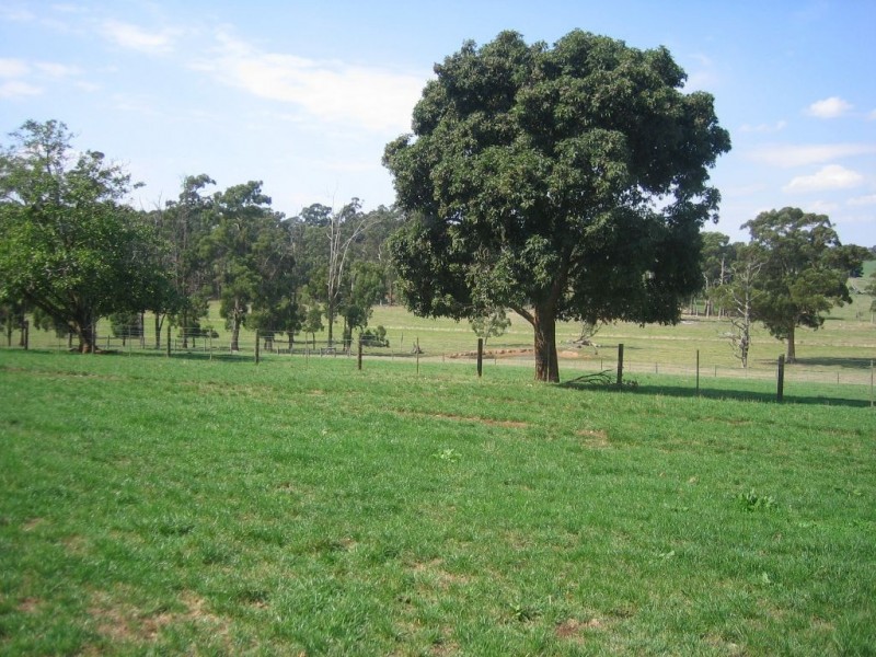 67 Carrol Road, Drouin VIC 3818