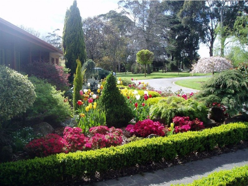 17 Waddell Road, Drouin VIC 3818