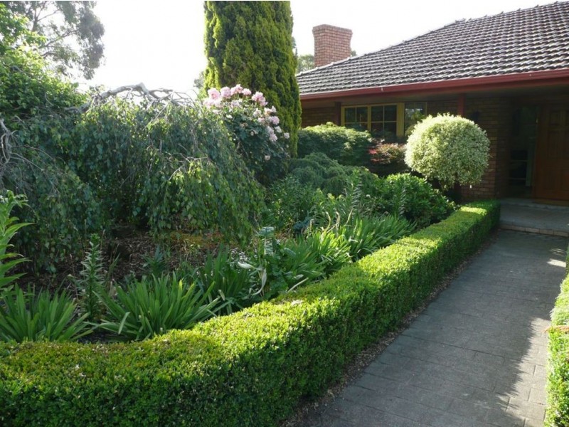 17 Waddell Road, Drouin VIC 3818