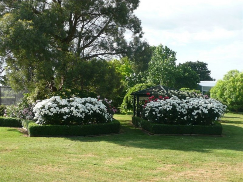 17 Waddell Road, Drouin VIC 3818