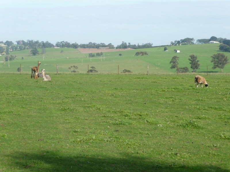 215 Pryor Road, Drouin VIC 3818