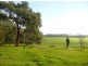 65 Lang Lang Park Road, Athlone VIC 3818