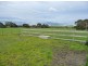 50 Old Drouin Road, Longwarry VIC 3816
