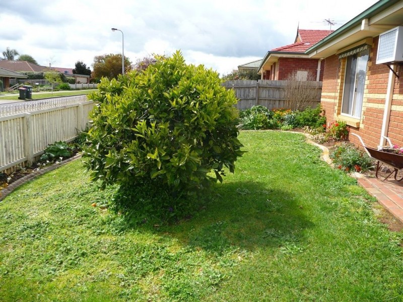 16a Moe Street, Drouin VIC 3818