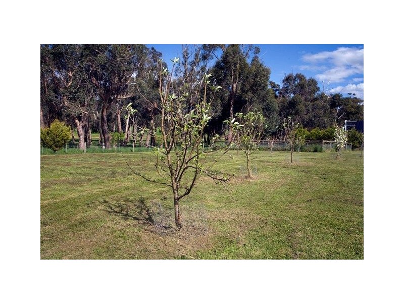 3 John Court, Drouin VIC 3818