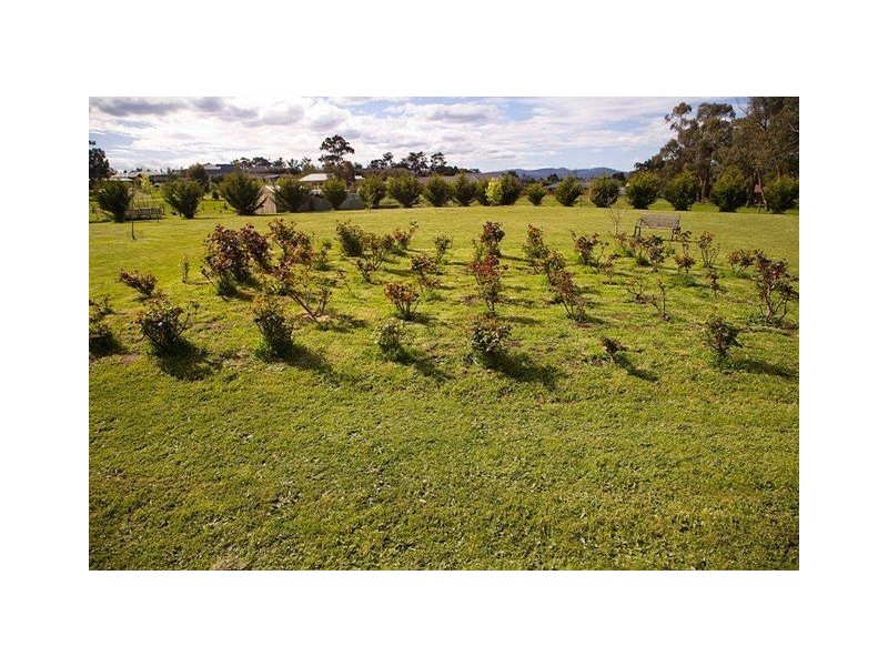 3 John Court, Drouin VIC 3818