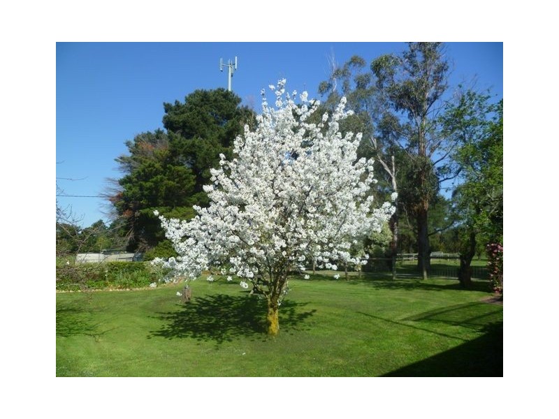 70 Mount Road, Longwarry North VIC 3816