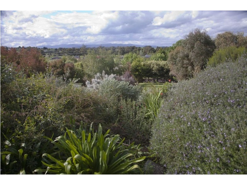 6 Green Valley Drive, Drouin VIC 3818