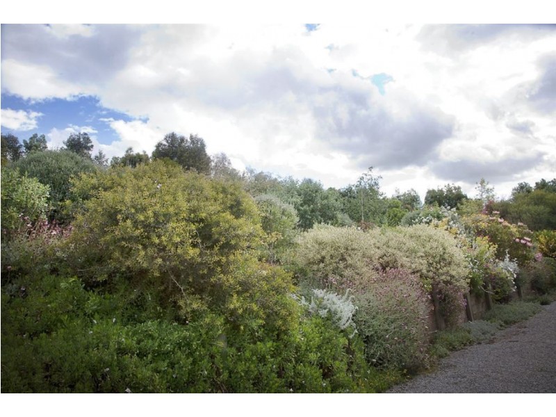 6 Green Valley Drive, Drouin VIC 3818