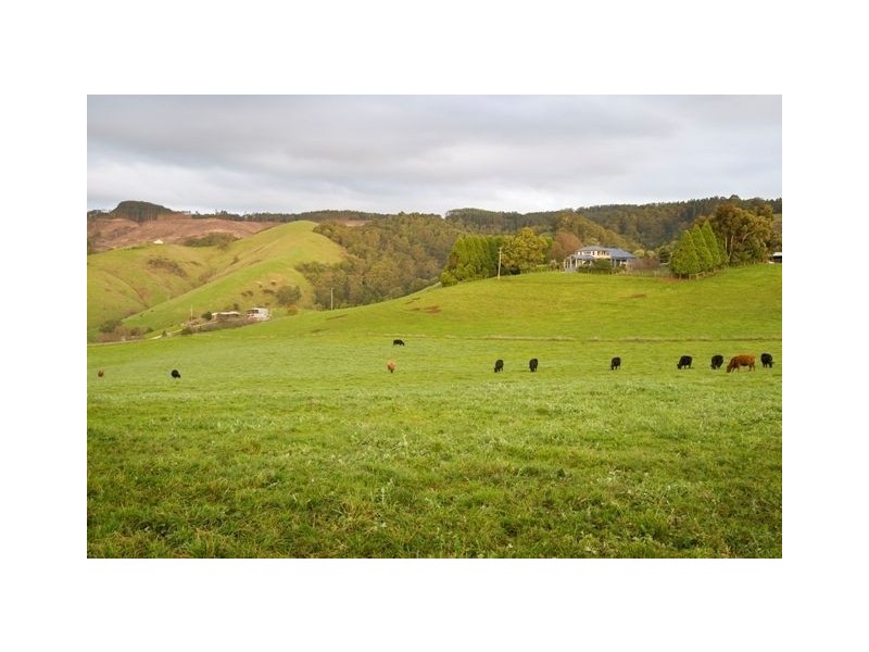 106 Petersons Road, Ellinbank VIC 3821