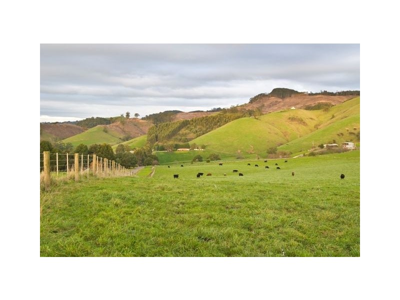 106 Petersons Road, Ellinbank VIC 3821