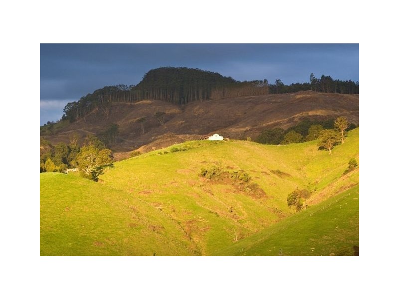 106 Petersons Road, Ellinbank VIC 3821