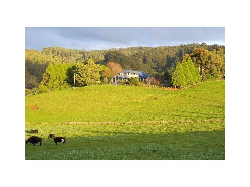 106 Petersons Road, Ellinbank VIC 3821