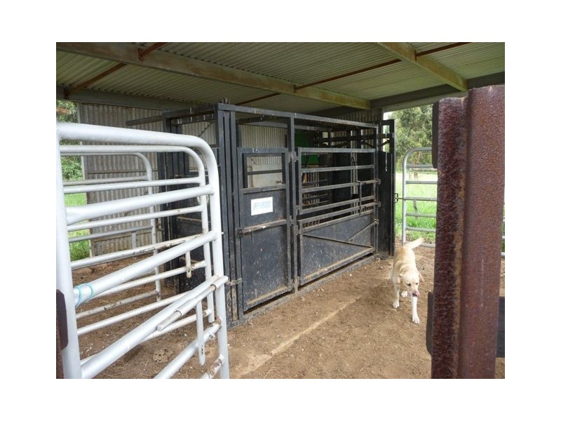 106 Petersons Road, Ellinbank VIC 3821