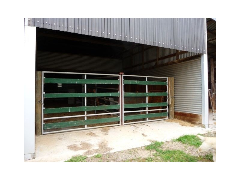 106 Petersons Road, Ellinbank VIC 3821