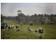 2365 Westernport Road, Drouin South VIC 3818