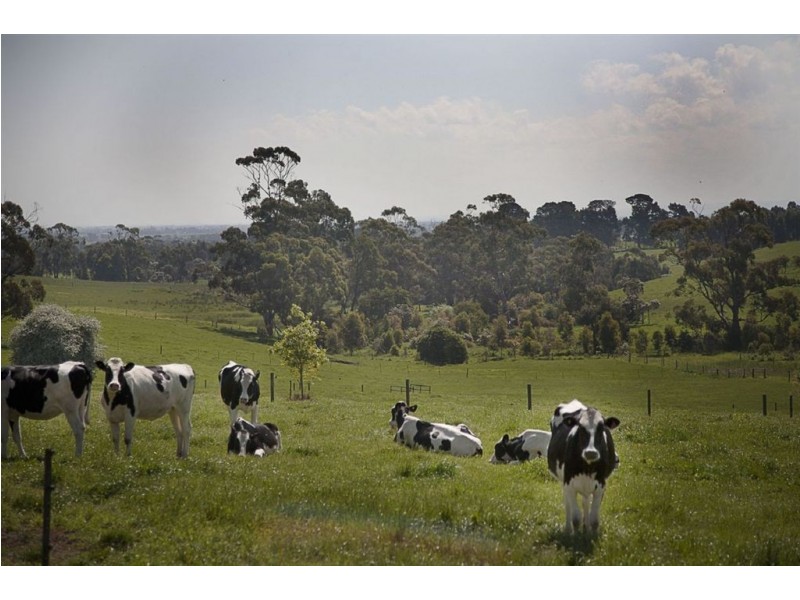 2365 Westernport Road, Drouin South VIC 3818