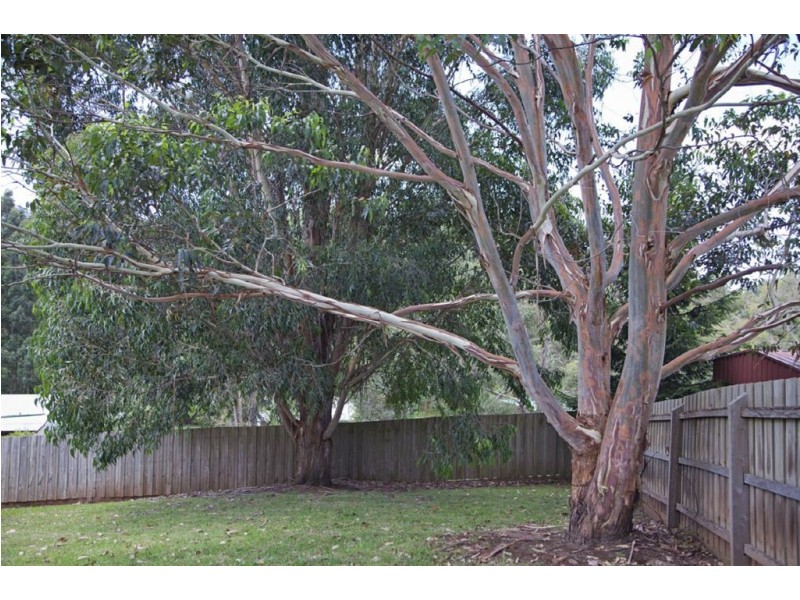 2 Andrew Court, Drouin VIC 3818