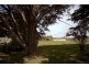 928 Princes Way, Drouin VIC 3818