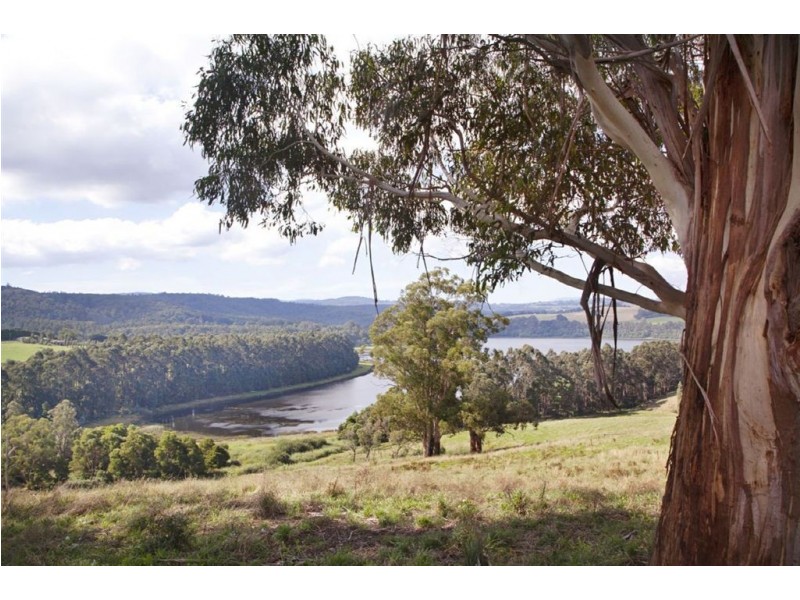 79 Palmer Road, Jindivick VIC 3818