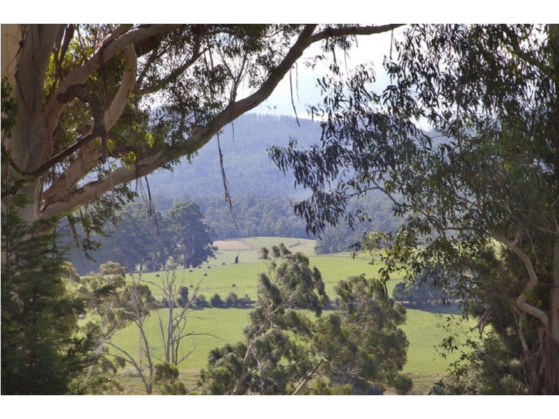 79 Palmer Road, Jindivick VIC 3818