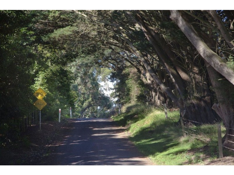79 Palmer Road, Jindivick VIC 3818