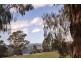 79 Palmer Road, Jindivick VIC 3818