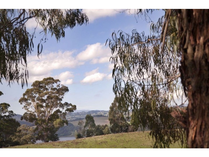 79 Palmer Road, Jindivick VIC 3818