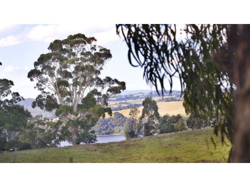 79 Palmer Road, Jindivick VIC 3818
