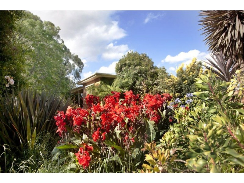 79 Palmer Road, Jindivick VIC 3818