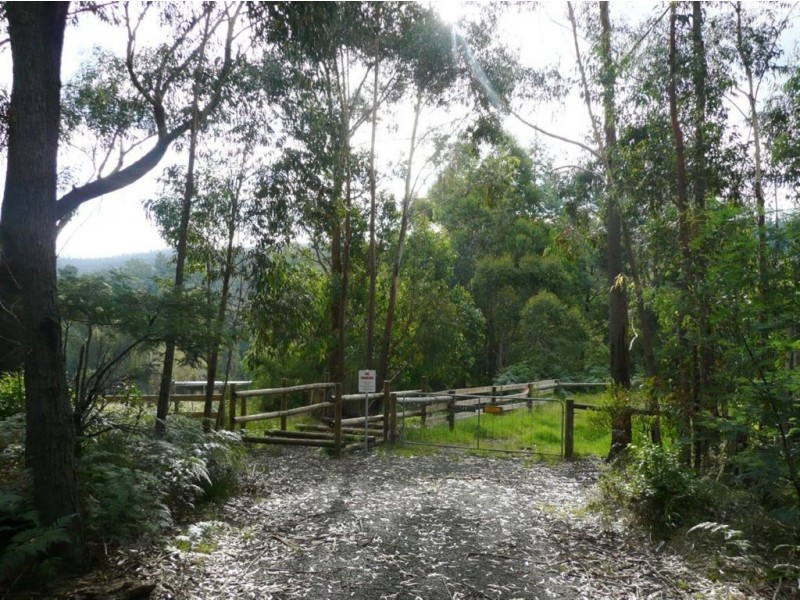 729 Jacksons Track, Jindivick VIC 3818