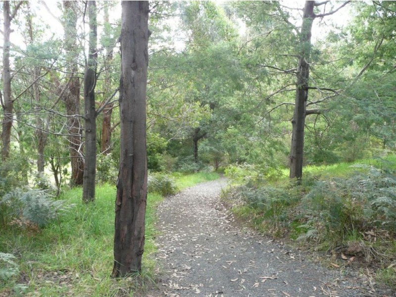 729 Jacksons Track, Jindivick VIC 3818