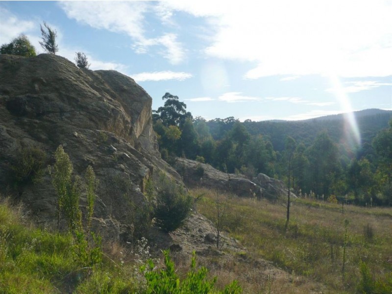 729 Jacksons Track, Jindivick VIC 3818
