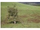 2785 Main Road, Neerim VIC 3831