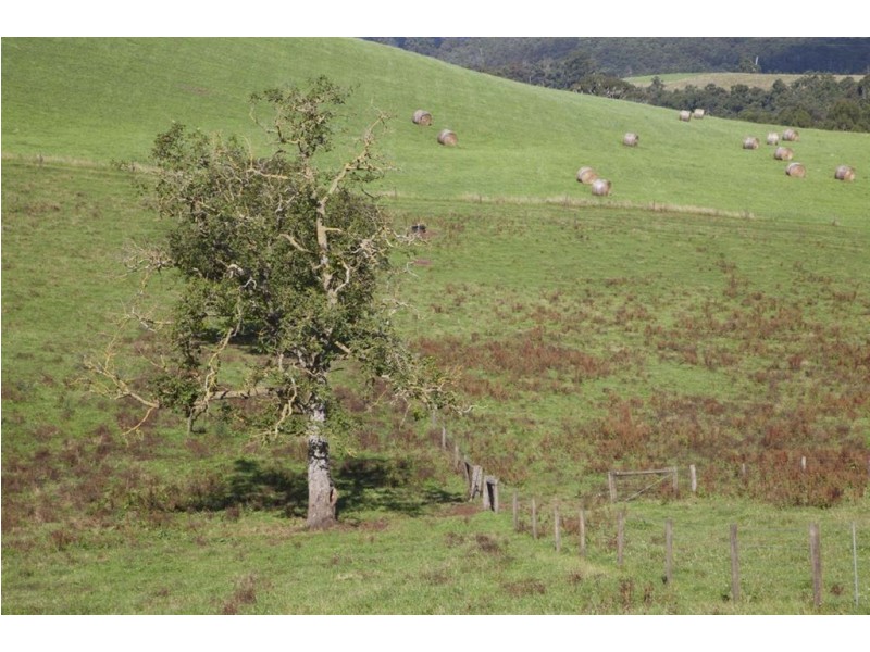 2785 Main Road, Neerim VIC 3831