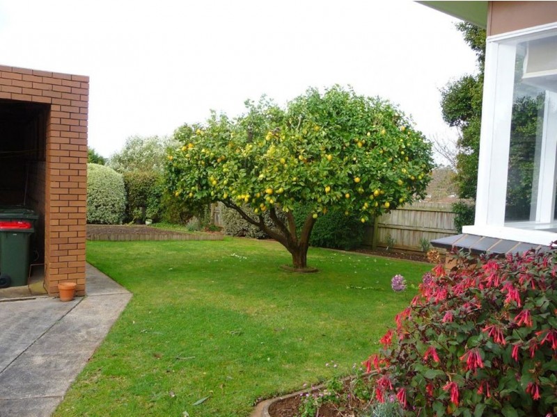 28 Albert Road, Drouin VIC 3818