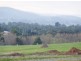 Lot 1825 Bexley Boulevard, Drouin VIC 3818