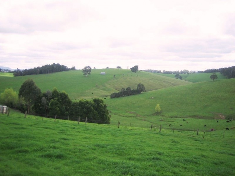 453 Christies Road, Buln Buln VIC 3821