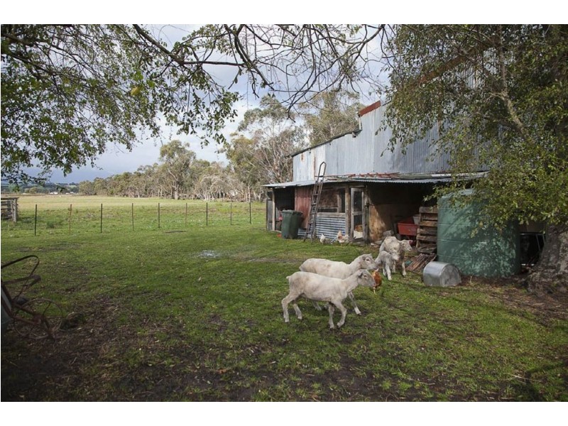 58 Princes Avenue, Longwarry VIC 3816