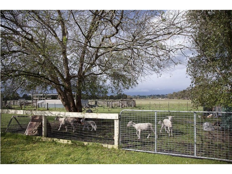 58 Princes Avenue, Longwarry VIC 3816