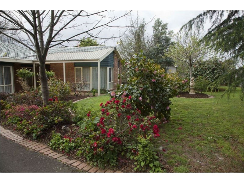 41 Albert Road, Drouin VIC 3818